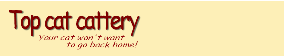 Your cat won't want
to go back home!